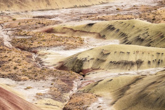 Beyond the Beige: Crafting Evocative Desert Paintings