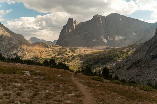 Beyond the Beige: Unearthing the Rich Tapestry of West Valley Hobbies