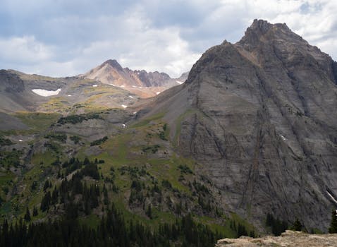 The Penny-Pinching Secret: Decoding Dollar Day Insurance