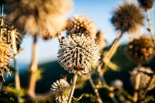 Unlocking Your Claim’s Potential: The Nuances of Finding a Public Insurance Adjuster Near Me